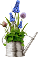 hyacinths Bb2 - png gratis