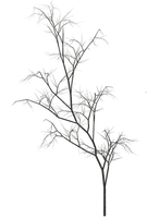 tree anastasia - darmowe png
