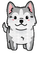 Siberian Husky Dogs - GIF animé gratuit