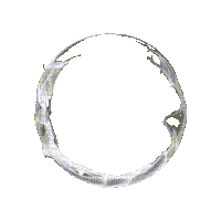 Ring - 免费动画 GIF