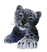 petit tigre scintillant - GIF animé gratuit