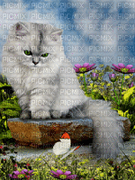 gatto - Darmowy animowany GIF
