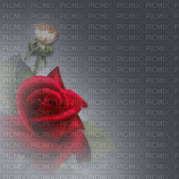 Background Gray Rose - Bogusia