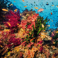 Rena Underwater Background Hintergrund - bezmaksas png