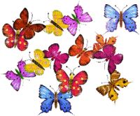 Kaz_Creations Animated Butterflies - Nemokamas animacinis gif