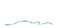 Dauphin saute - Безплатен анимиран GIF