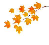 Осень гиф, Карина - Ingyenes animált GIF