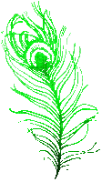 soave deco peacock feathers animated green - Gratis animeret GIF