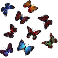 Schmetterling - png gratuito