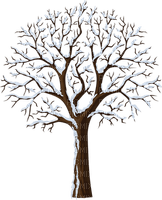 snow tree - 無料png