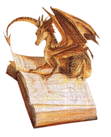 dragon sur livre - PNG gratuit
