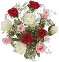 Colored Roses - Δωρεάν κινούμενο GIF