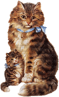 maman et chaton - GIF animado gratis