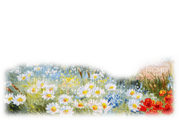 daisy flower landscape paysage - 免费PNG