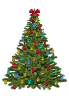 Árbol de navidad - png gratis