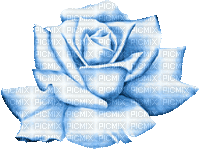 Flower, Flowers, Deco, Decoration, Rose, Roses, Blue - Jitter.Bug.Girl - GIF animé gratuit