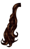 Cheveux brun - png gratis