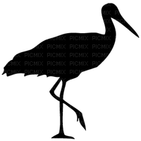 shilouett stork - ingyenes png