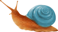 Snail - Free PNG