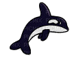 orca - Бесплатный анимированный гифка