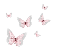 All  my butterflys - ingyenes png