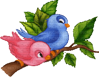 cecily-oiseaux animes - GIF animado gratis