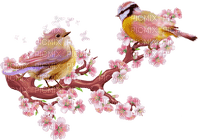 oiseau rose - zadarmo png
