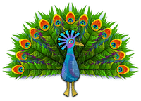 Peacock - png gratuito