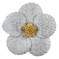 minou-decoration button flower-dekorationsknapp blomma - png gratis