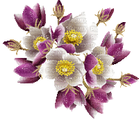 Y.A.M._Spring Flowers Decor - Gratis geanimeerde GIF