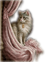 Cat curtain - darmowe png