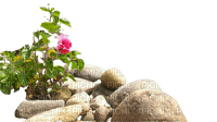 flower, rock,tree - PNG gratuit