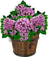flowerpot Bb2 - 免费PNG