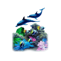 dauphin fish sea