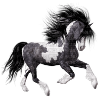 Horse, Adam64 - 免费PNG