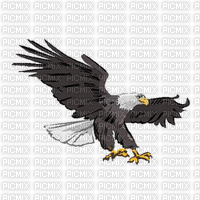 eagle - PNG gratuit