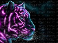 tigre - 免费PNG