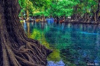 paysage eau - PNG gratuit