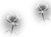 blommor--grå---flowers-gray - PNG gratuit