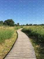 grass,tree,sky,road - δωρεάν png