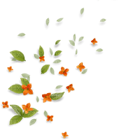 Flower Orange Green Deco - Bogusia - bezmaksas png