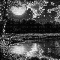Y.A.M._Gothic Night fantasy background black-white - GIF animé gratuit