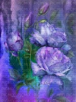 violet rose - zdarma png