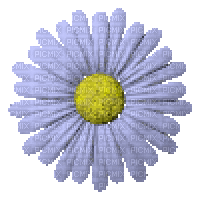 flowers - Nemokamas animacinis gif