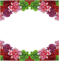 loly33 frame fleur - gratis png