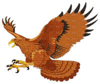 aigle ( - 免费PNG