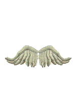 angyal szárny--tedd az angyal mögé - GIF animate gratis