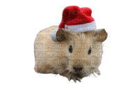 guinea pig x-mas - png gratis