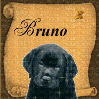 bruno - 無料のアニメーション GIF
