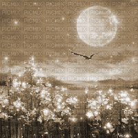 Y.A.M._Landscape background sepia - Darmowy animowany GIF